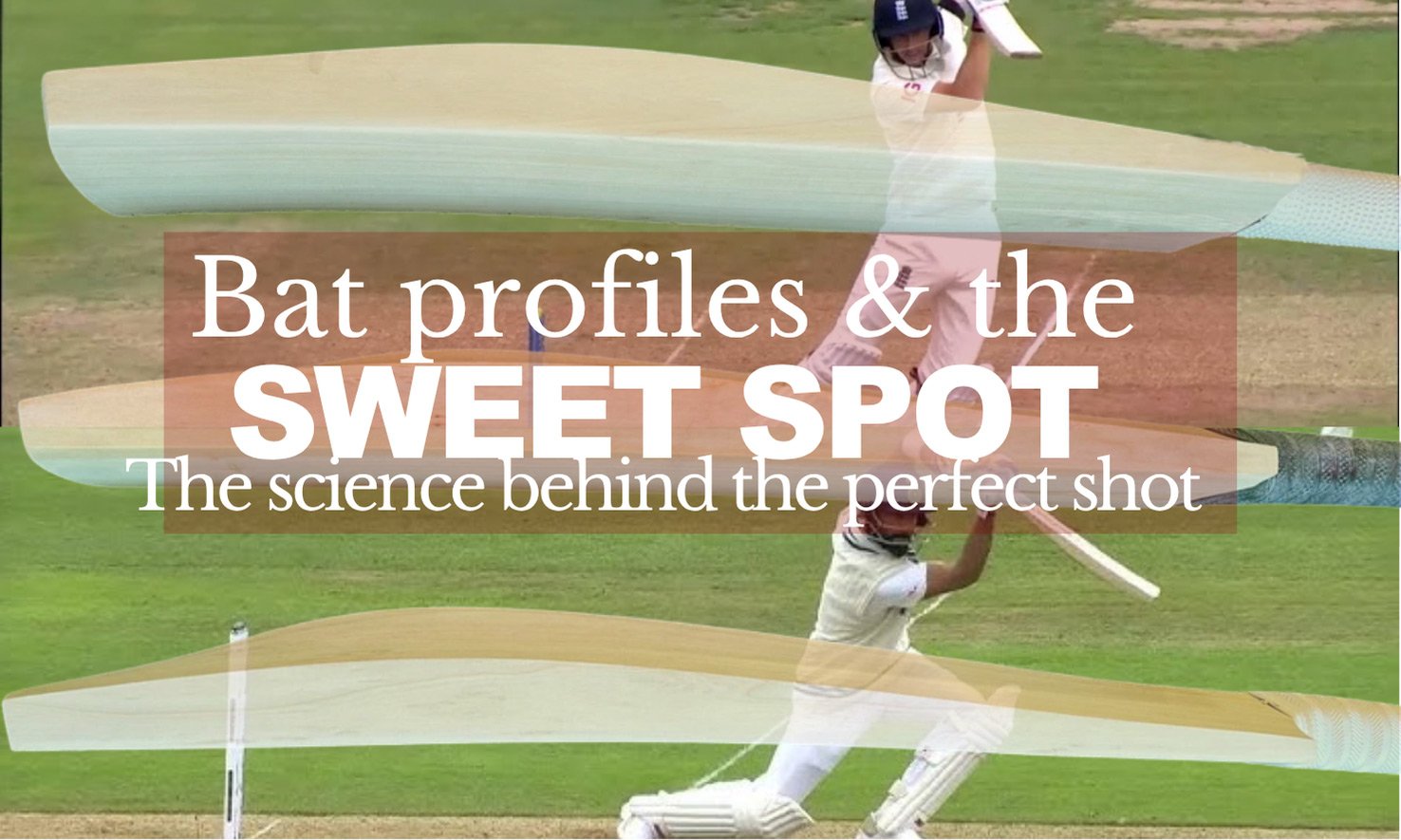 Bat Profiles & The Sweet Spot Blog