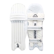 Pro Players Lightweight Replica Batting Pads
