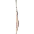 TC 1260 Bat (23/24)