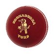 Turf Cricket Ball