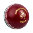 Turf Cricket Ball