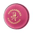Regulation Cricket Ball