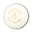 Club Match Cricket Ball