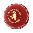 Commander Cricket Ball