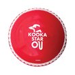 Star Cricket Ball