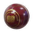 Menace Cricket Ball