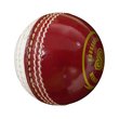 Menace Cricket Ball