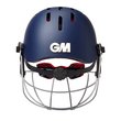 Purist Geo Helmet