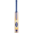 Absolute Belta Bat (24/25)