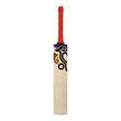 Beast Pro 9.0 Kashmir Willow Bat (25/26)