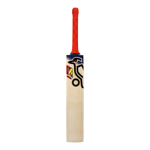 Beast Pro 9.0 Kashmir Willow Bat (25/26)