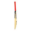 Beast Pro 9.0 Kashmir Willow Bat (25/26)