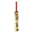 Beast Pro 9.0 Kashmir Willow Bat (25/26)