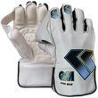 Aion 909 Wicket Keeping Gloves (25/26)