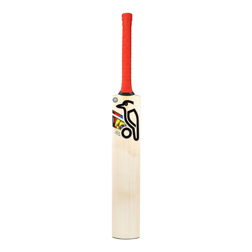 Beast 6.0 Junior Bat (24/25) 