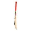 Beast 6.0 Junior Bat (24/25) 