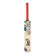 Beast 6.0 Junior Bat (24/25) 