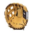 CTZ5000 Fielding Mitt