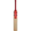GNR 5 Blast Kashmir Willow Bat (25/26)