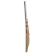 Players Bat (26/27)