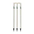 Wooden Ferule Stumps