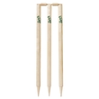 English Ash Test Stumps