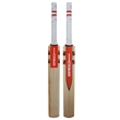 Technique 55 Bat - Kashmir Willow